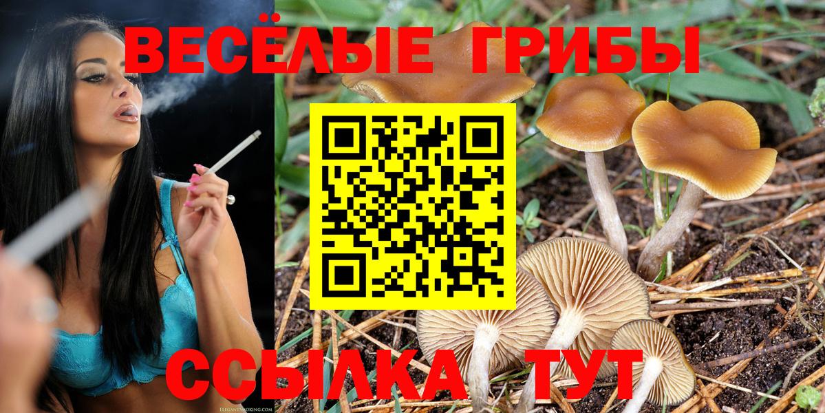 Псилоцибиновые грибы MAGIC MUSHROOMS  Вход с VPN  Псилоцибиновые грибы Psilocybe  Южно-Сахалинск 